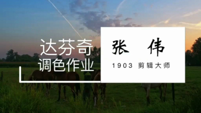 1903期影视剪辑大师班1班【PT】的五星作品
