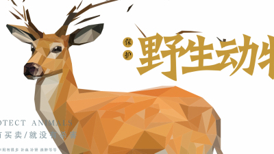 1907期影视剪辑与包装设计师班1班【O】的五星作品