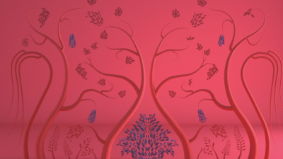 1908期影视剪辑与包装设计师班1班【OT】的五星作品