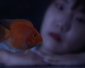 2104期影视剪辑大师班1班【PT】的五星作品